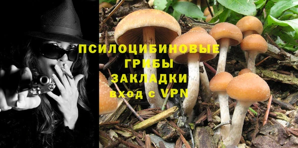 сатива Алзамай
