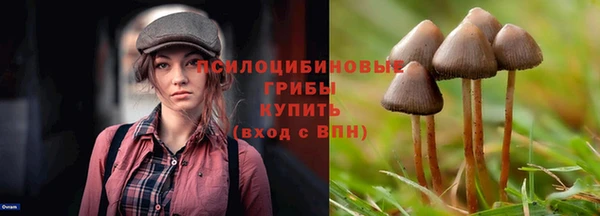 гидропоника Абинск