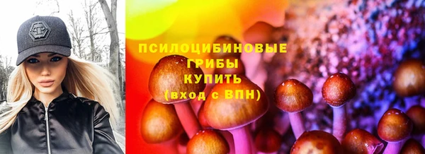 гидропоника Абинск