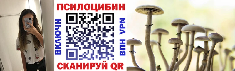 Псилоцибиновые грибы MAGIC MUSHROOMS  купить наркотики сайты  Бокситогорск 